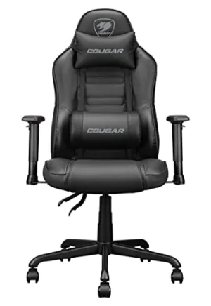 31sdywkeusl. sl500 .jpg